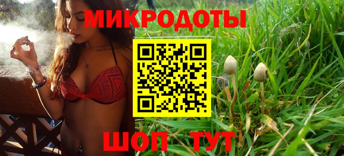 Галлюциногенные грибы Psilocybe Рославль