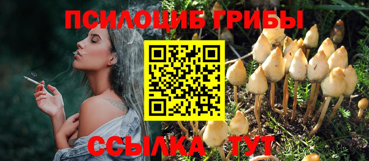 Галлюциногенные грибы Psilocybe  Псилоцибиновые грибы MAGIC MUSHROOMS  Рославль  Вход с VPN 
